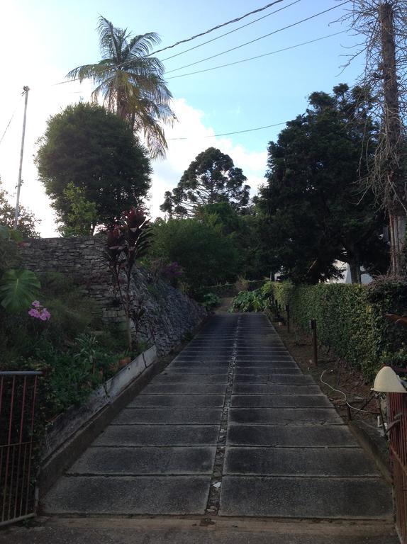 Braunes Guest House 新弗里堡 外观 照片