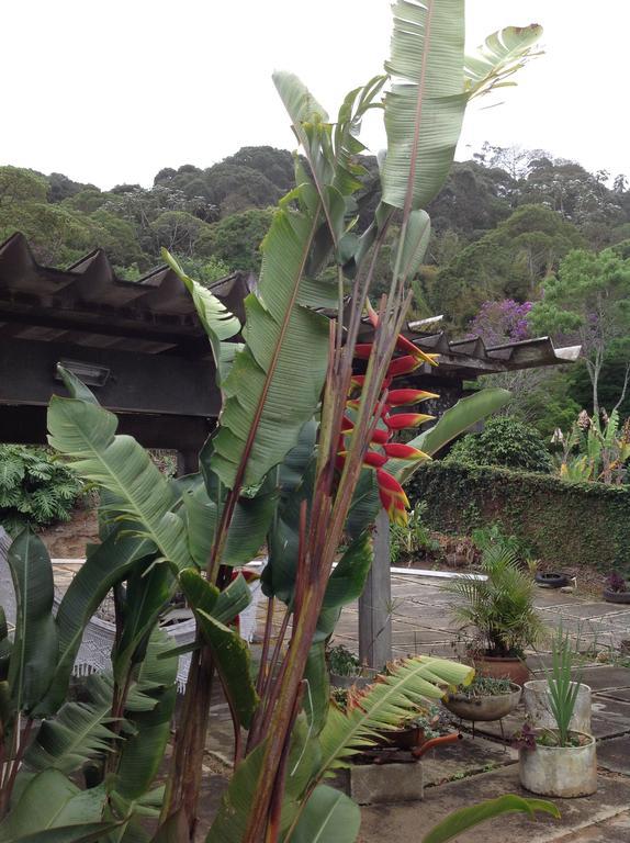 Braunes Guest House 新弗里堡 外观 照片